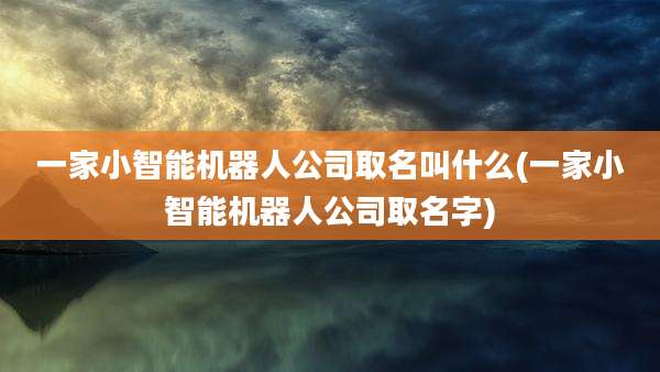 一家小智能机器人公司取名叫什么(一家小智能机器人公司取名字)