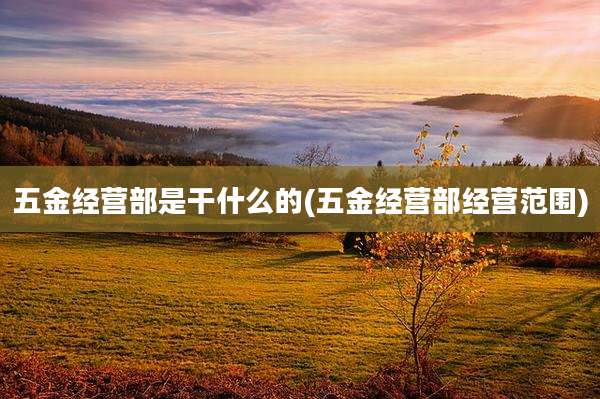 五金经营部是干什么的(五金经营部经营范围)