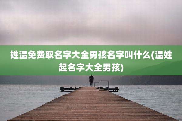 姓温免费取名字大全男孩名字叫什么(温姓起名字大全男孩)