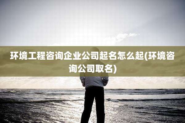 环境工程咨询企业公司起名怎么起(环境咨询公司取名)