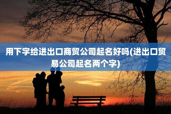 用下字给进出口商贸公司起名好吗(进出口贸易公司起名两个字)