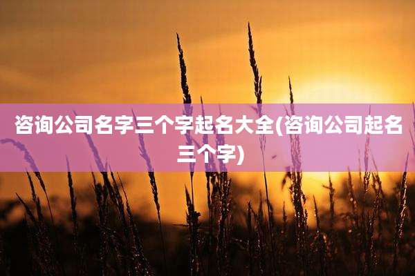 咨询公司名字三个字起名大全(咨询公司起名 三个字)