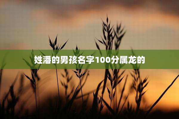 姓潘的男孩名字100分属龙的