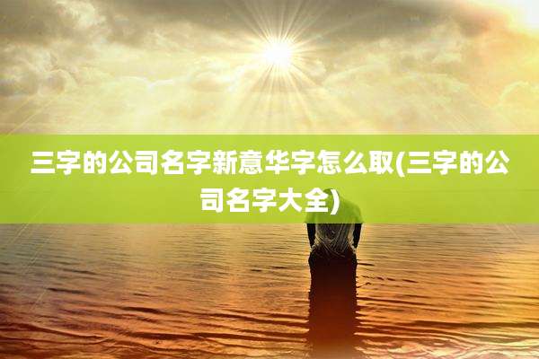三字的公司名字新意华字怎么取(三字的公司名字大全)
