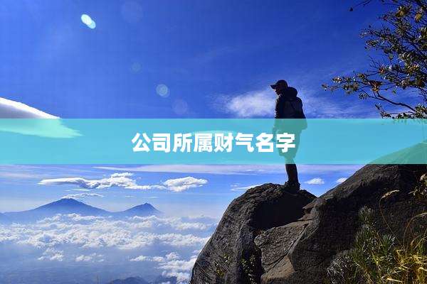 公司所属财气名字