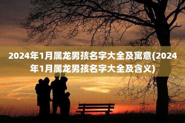 2024年1月属龙男孩名字大全及寓意(2024年1月属龙男孩名字大全及含义)