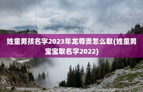 姓童男孩名字2023年龙尊贵怎么取(姓童男宝宝取名字2022)