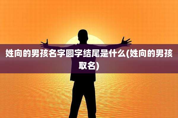 姓向的男孩名字圆字结尾是什么(姓向的男孩取名)