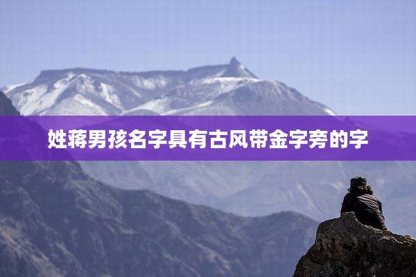 姓蒋男孩名字具有古风带金字旁的字