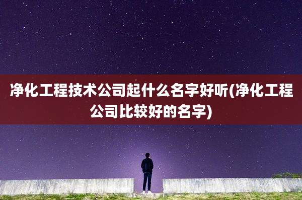 净化工程技术公司起什么名字好听(净化工程公司比较好的名字)