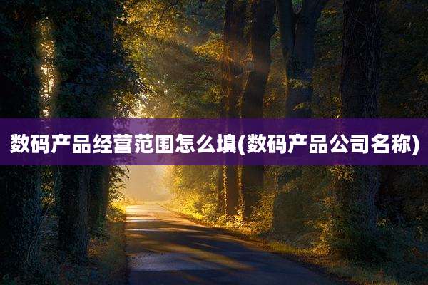 数码产品经营范围怎么填(数码产品公司名称)