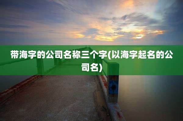 带海字的公司名称三个字(以海字起名的公司名)