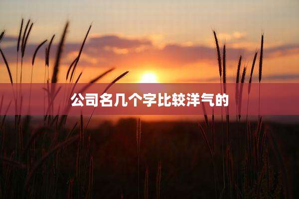 公司名几个字比较洋气的