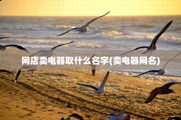 网店卖电器取什么名字(卖电器网名)