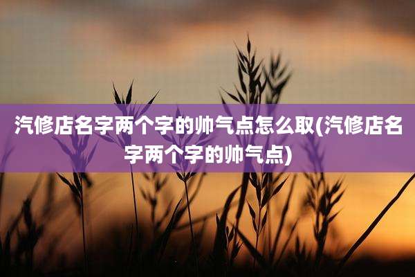 汽修店名字两个字的帅气点怎么取(汽修店名字两个字的帅气点)