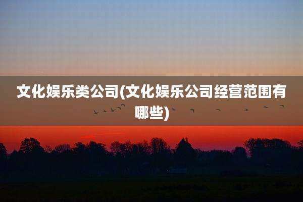 文化娱乐类公司(文化娱乐公司经营范围有哪些)
