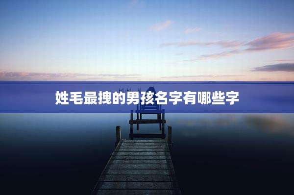 姓毛最拽的男孩名字有哪些字