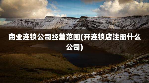 商业连锁公司经营范围(开连锁店注册什么公司)
