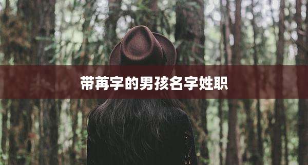 带苒字的男孩名字姓职