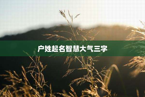 户姓起名智慧大气三字