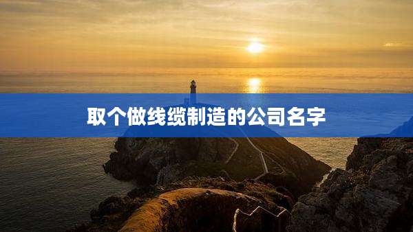 取个做线缆制造的公司名字