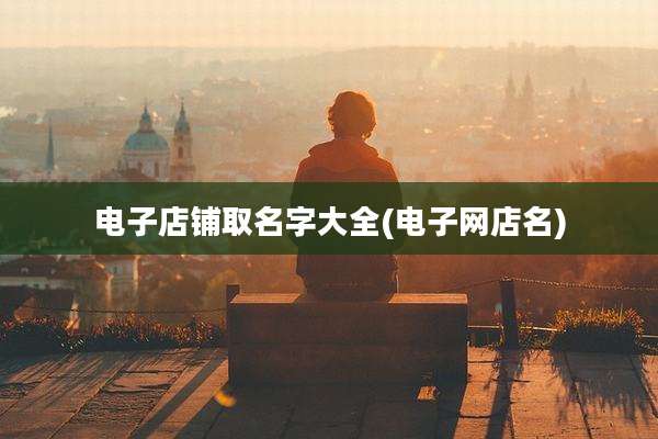 电子店铺取名字大全(电子网店名)