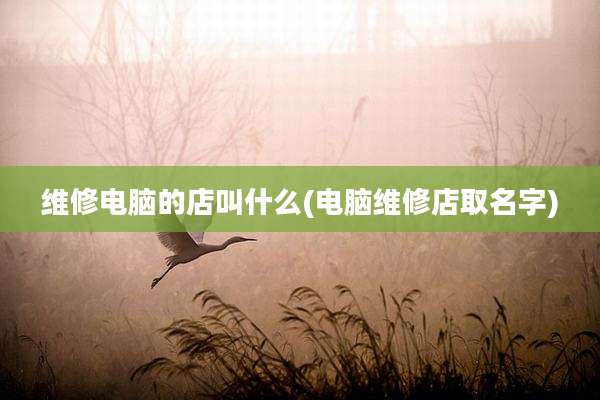 维修电脑的店叫什么(电脑维修店取名字)