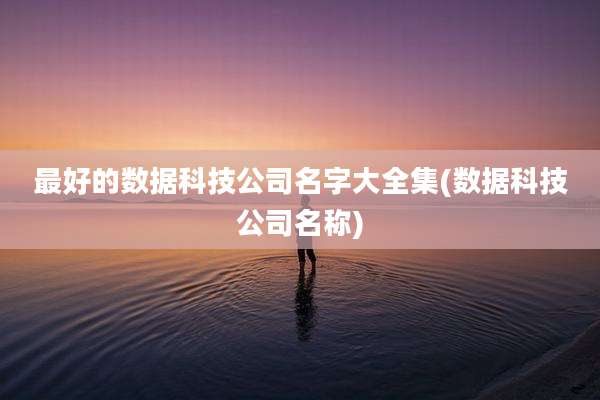 最好的数据科技公司名字大全集(数据科技公司名称)
