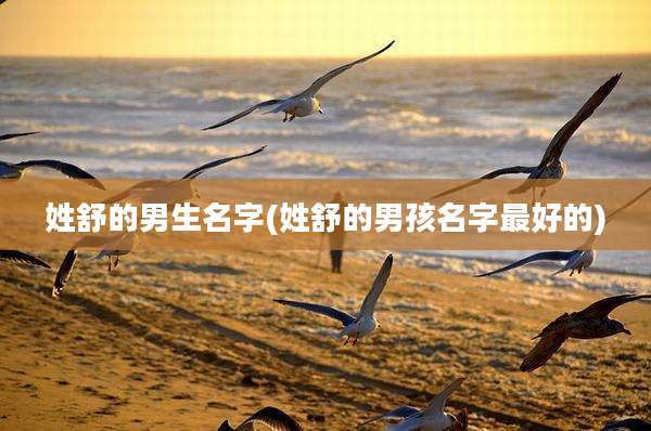 姓舒的男生名字(姓舒的男孩名字最好的)