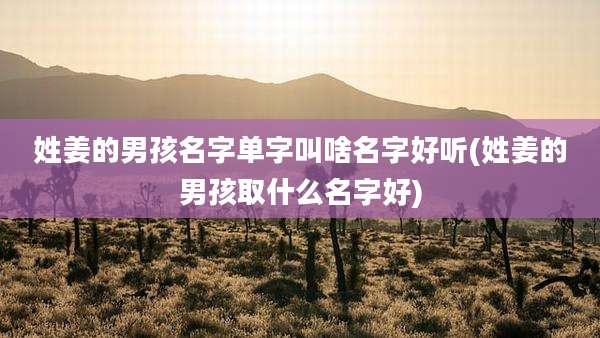 姓姜的男孩名字单字叫啥名字好听(姓姜的男孩取什么名字好)