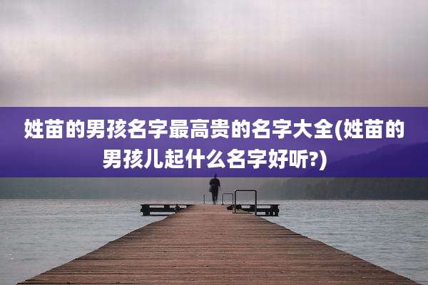 姓苗的男孩名字最高贵的名字大全(姓苗的男孩儿起什么名字好听?)