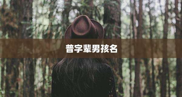 普字辈男孩名
