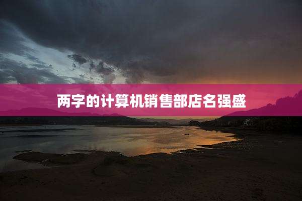 两字的计算机销售部店名强盛