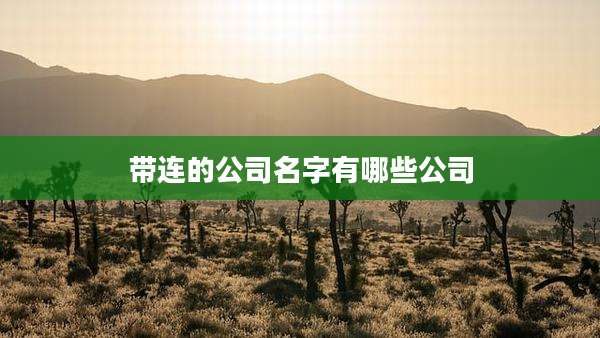 带连的公司名字有哪些公司