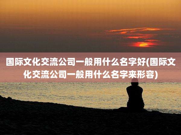 国际文化交流公司一般用什么名字好(国际文化交流公司一般用什么名字来形容)