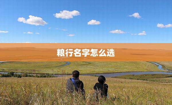粮行名字怎么选