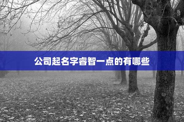 公司起名字睿智一点的有哪些