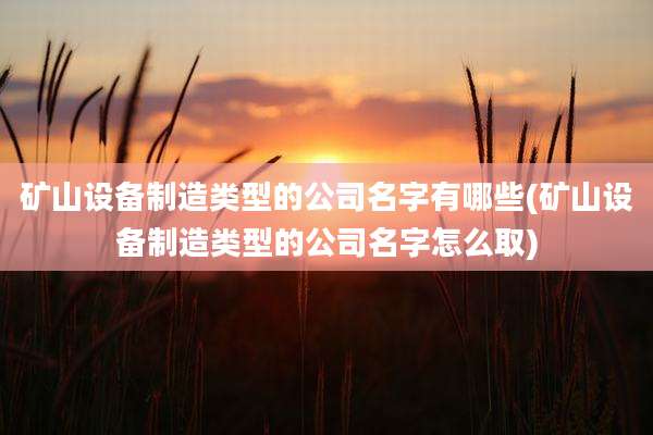 矿山设备制造类型的公司名字有哪些(矿山设备制造类型的公司名字怎么取)