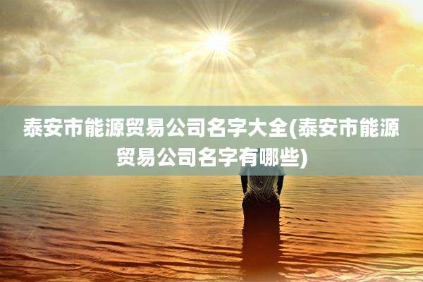 泰安市能源贸易公司名字大全(泰安市能源贸易公司名字有哪些)