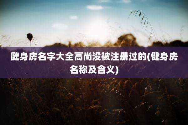 健身房名字大全高尚没被注册过的(健身房名称及含义)