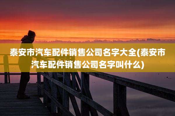 泰安市汽车配件销售公司名字大全(泰安市汽车配件销售公司名字叫什么)