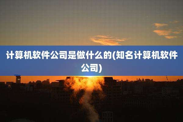 计算机软件公司是做什么的(知名计算机软件公司)