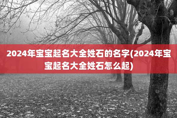2024年宝宝起名大全姓石的名字(2024年宝宝起名大全姓石怎么起)