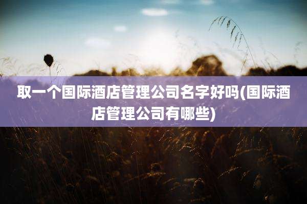 取一个国际酒店管理公司名字好吗(国际酒店管理公司有哪些)