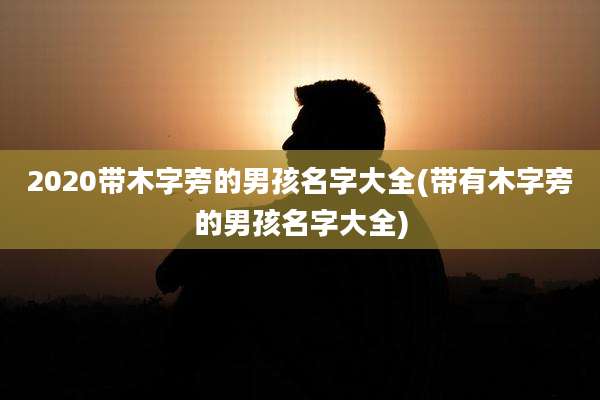2020带木字旁的男孩名字大全(带有木字旁的男孩名字大全)