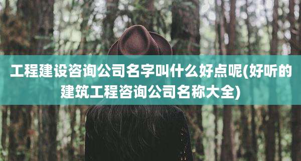 工程建设咨询公司名字叫什么好点呢(好听的建筑工程咨询公司名称大全)