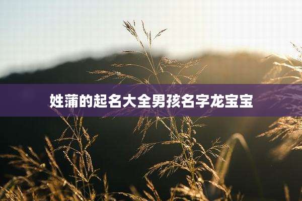 姓蒲的起名大全男孩名字龙宝宝