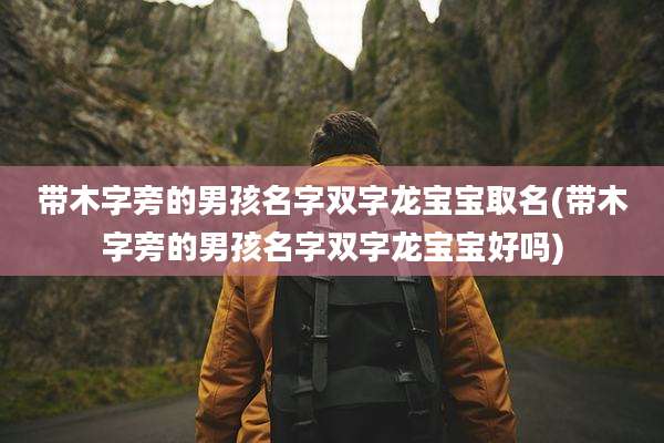 带木字旁的男孩名字双字龙宝宝取名(带木字旁的男孩名字双字龙宝宝好吗)