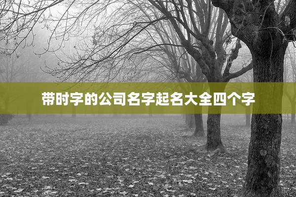 带时字的公司名字起名大全四个字