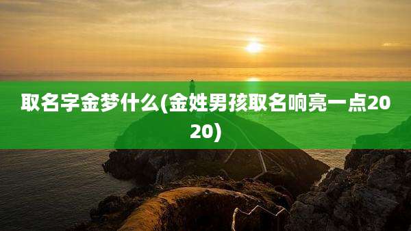 取名字金梦什么(金姓男孩取名响亮一点2020)